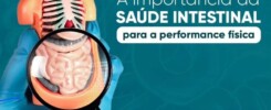 A importância da saúde intestinal para a performance física